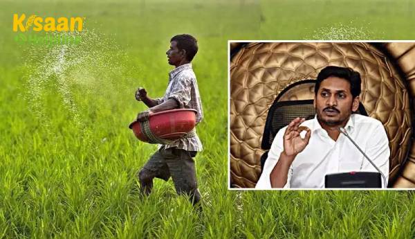 आंध्रप्रदेश के सीएम जगन मोहन रेड्डी ने ब्याज मुक्त फसल ऋण योजना शुरू की आंध्रप्रदेश के सीएम जगन मोहन रेड्डी ने ब्याज मुक्त फसल ऋण योजना शुरू की